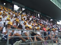 Ｆ1勉強会