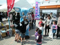 ベルディ大人気