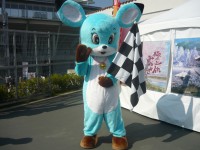 チェッカーフラッグ『ベルディ』！